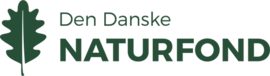 DDN